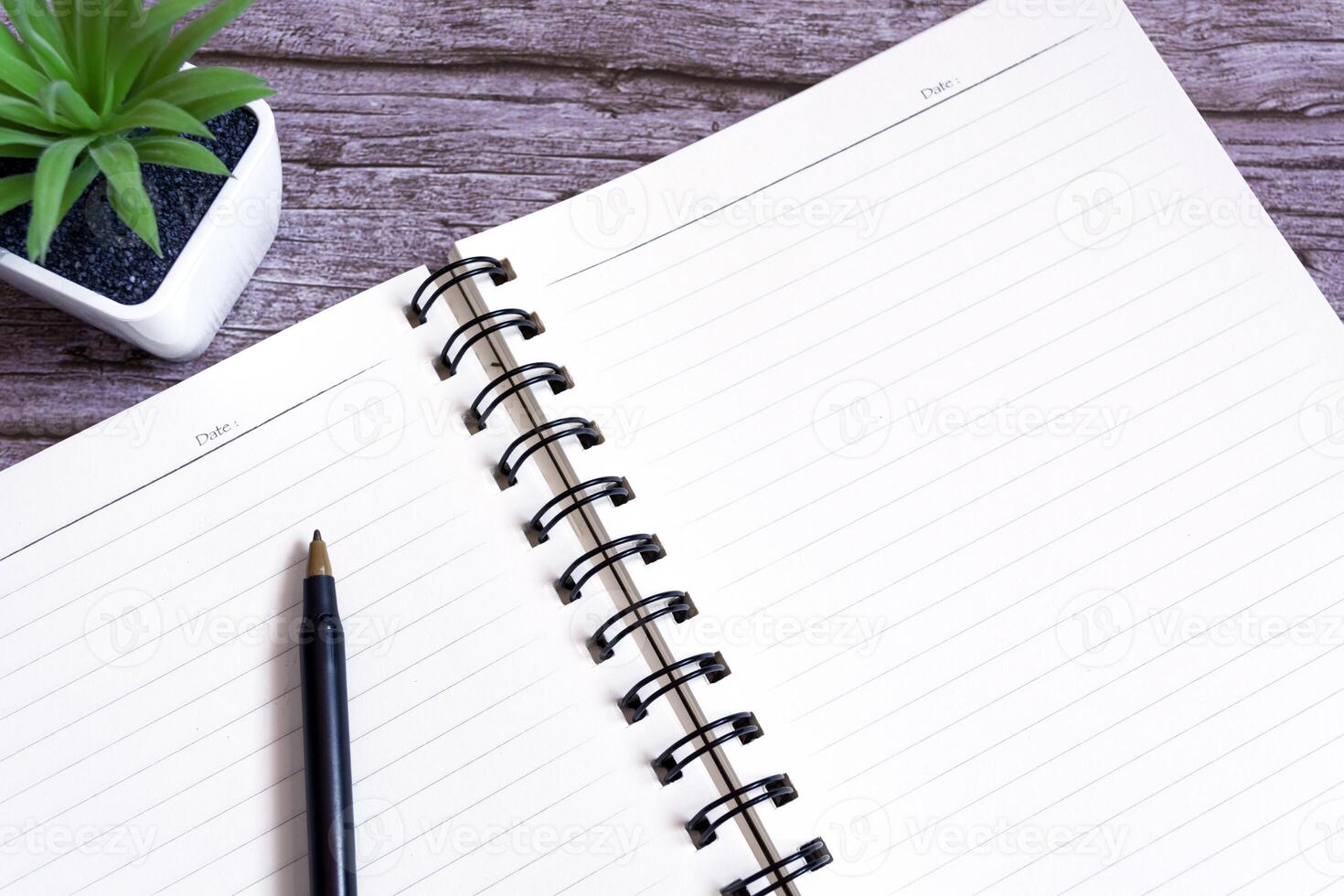 Note book with pen and potted plant on wooden desk. Copy space. photo