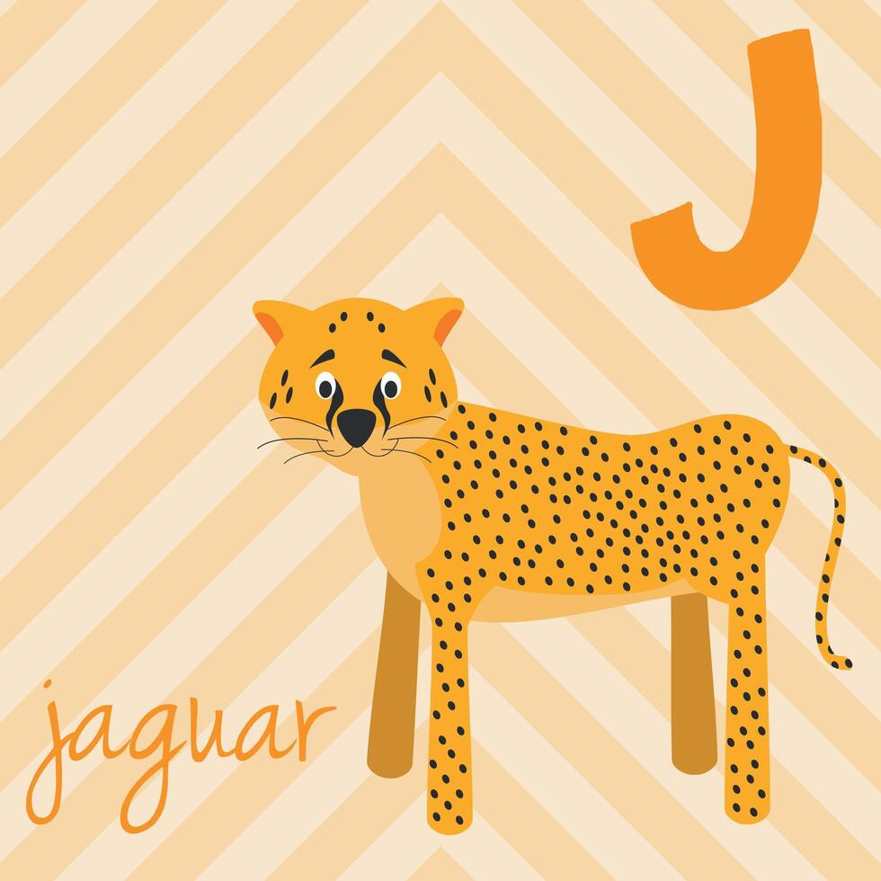 Cute cartoon zoo illustrated alphabet with funny animals. J for Jaguar. English alphabet. Learn to read. Isolated illustration. vector
