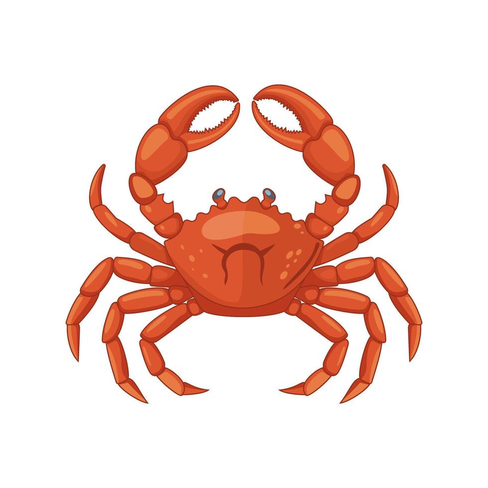 illustration. Crab isolated on white background vector