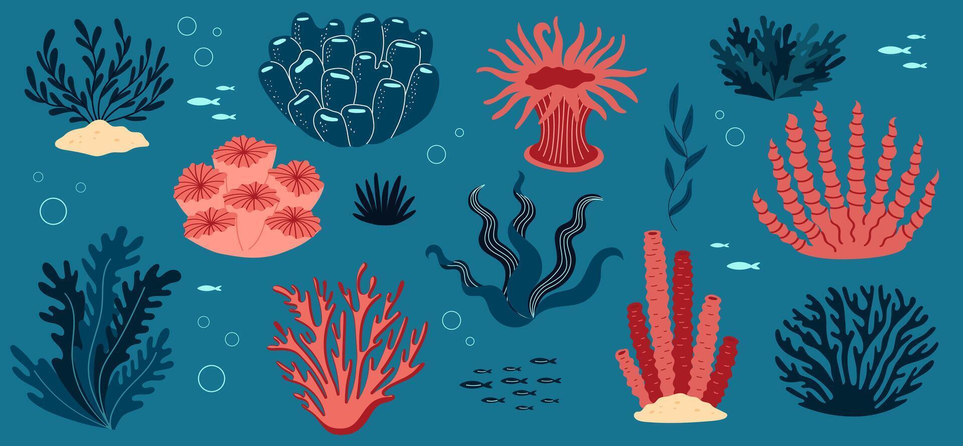 Coral and ocean plants set. Underwater flora and seaweed. Aquatic plant, tropical seabed elements collection. vector