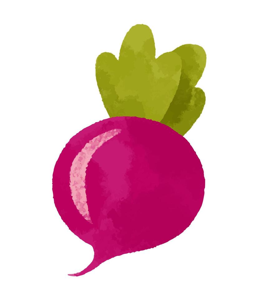 Set of cartoon vegetables. Hand drawn illustration on isolated b vector