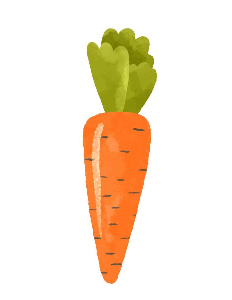 Set of cartoon vegetables. Hand drawn illustration on isolated b vector