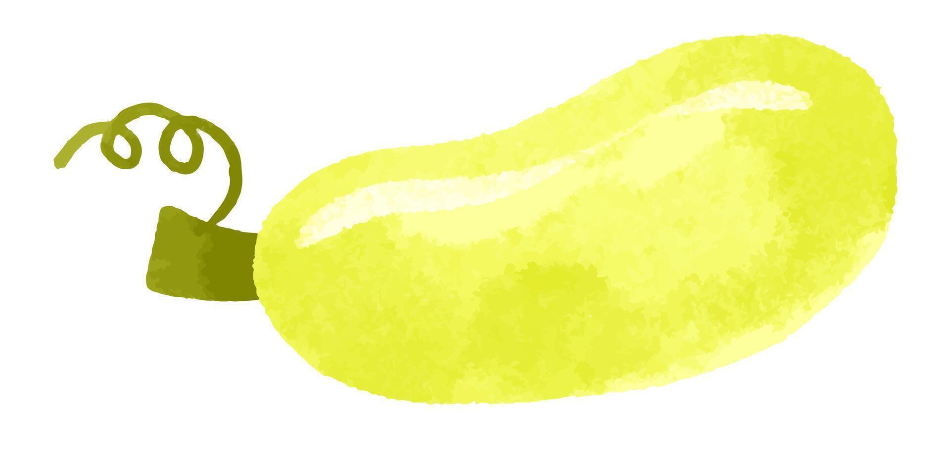 Set of cartoon vegetables. Hand drawn illustration on isolated b vector
