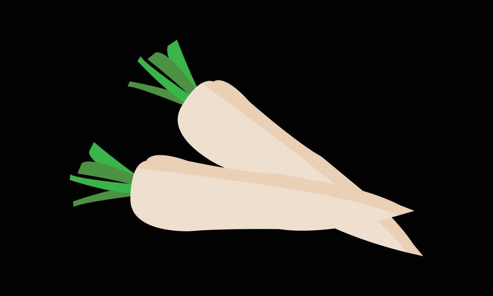 Radish Design And Illustration. vector