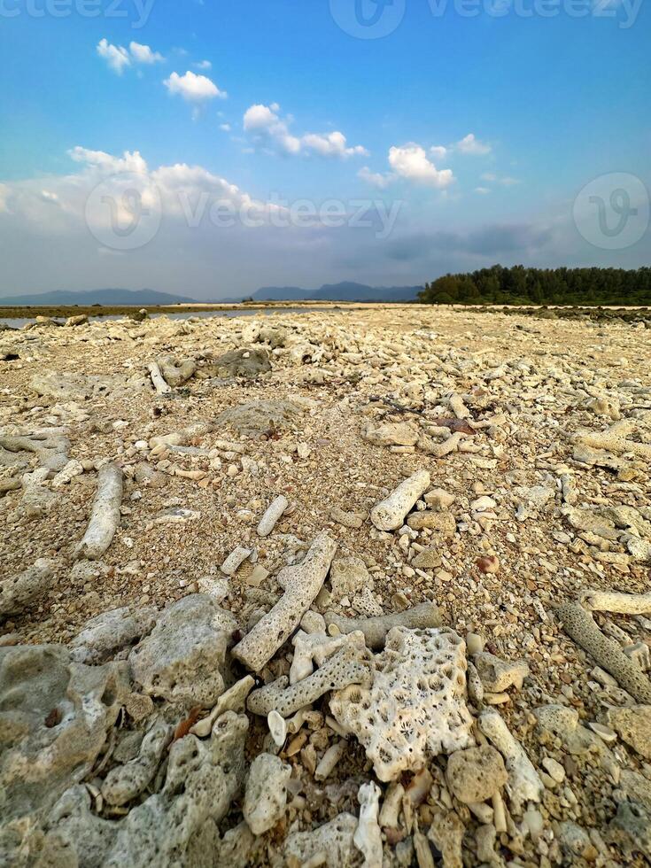 Wide-angle view of a sunlit coral beach, showcasing scattered coral pieces against a picturesque sky and distant mountains photo