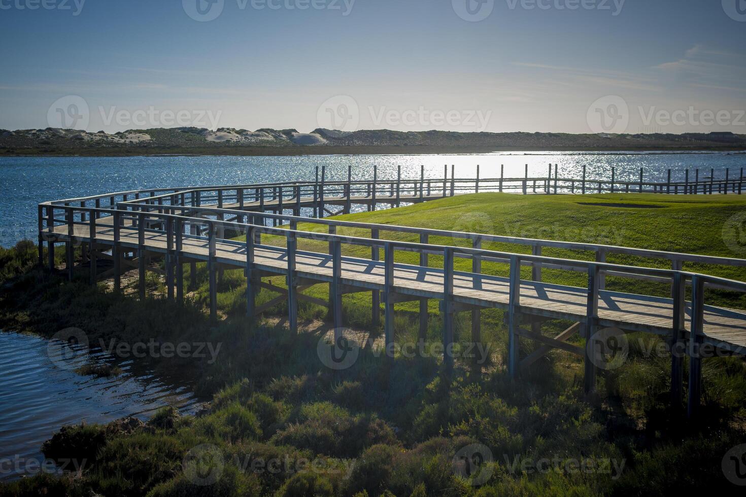 View on wooden elevated hiking path in Rio Formosa photo