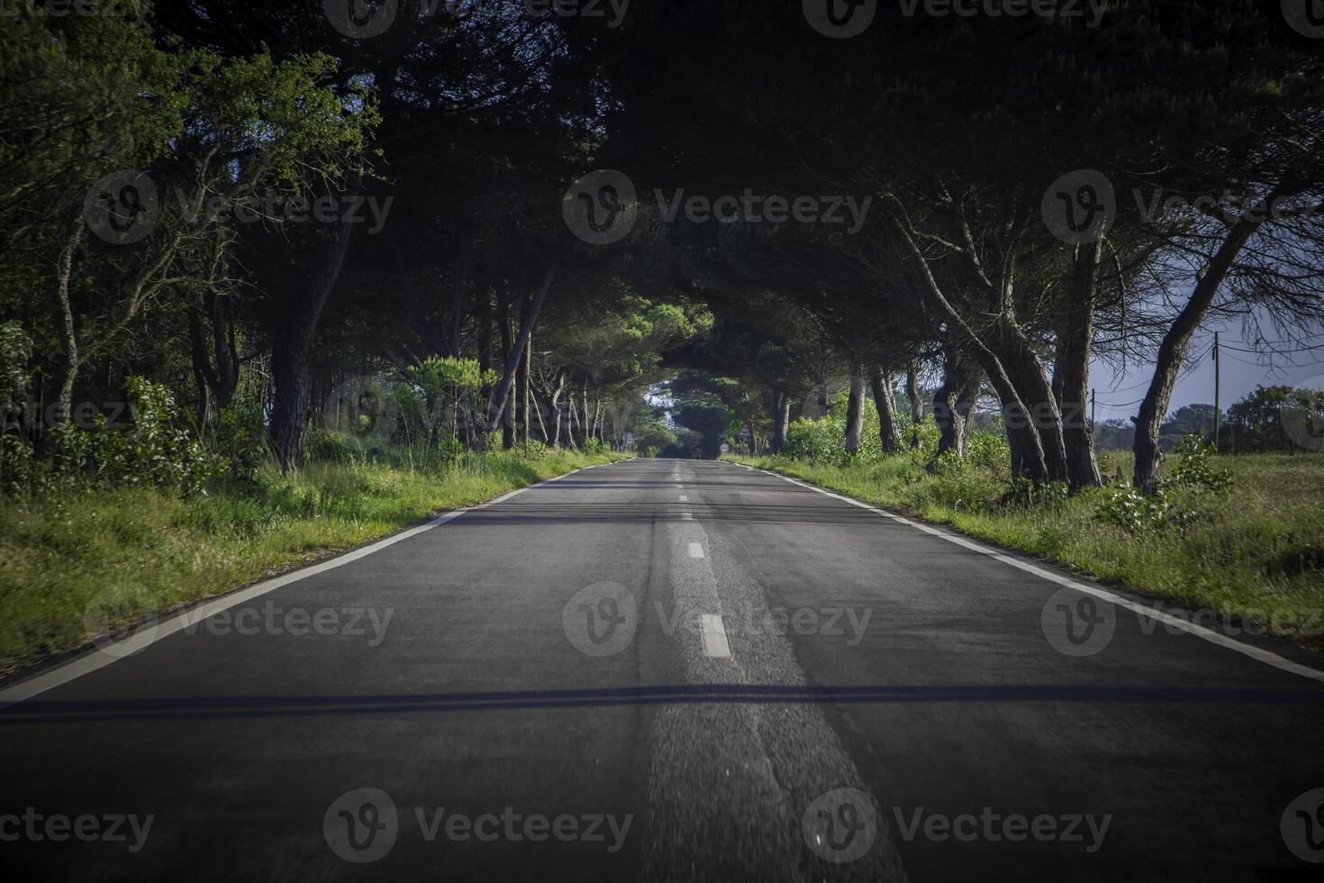 View on N268 road in the Algarve, Porutgal, on the Vicentine coast. photo