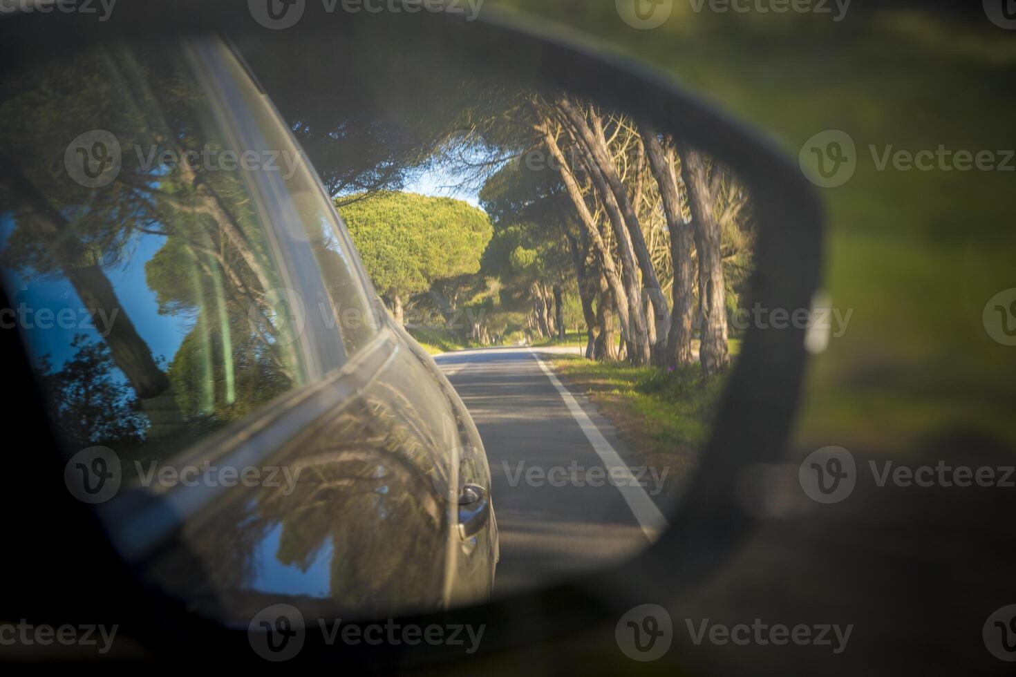 Algarve road trip over treelined N268 road on the vicentine coast in Portugal photo