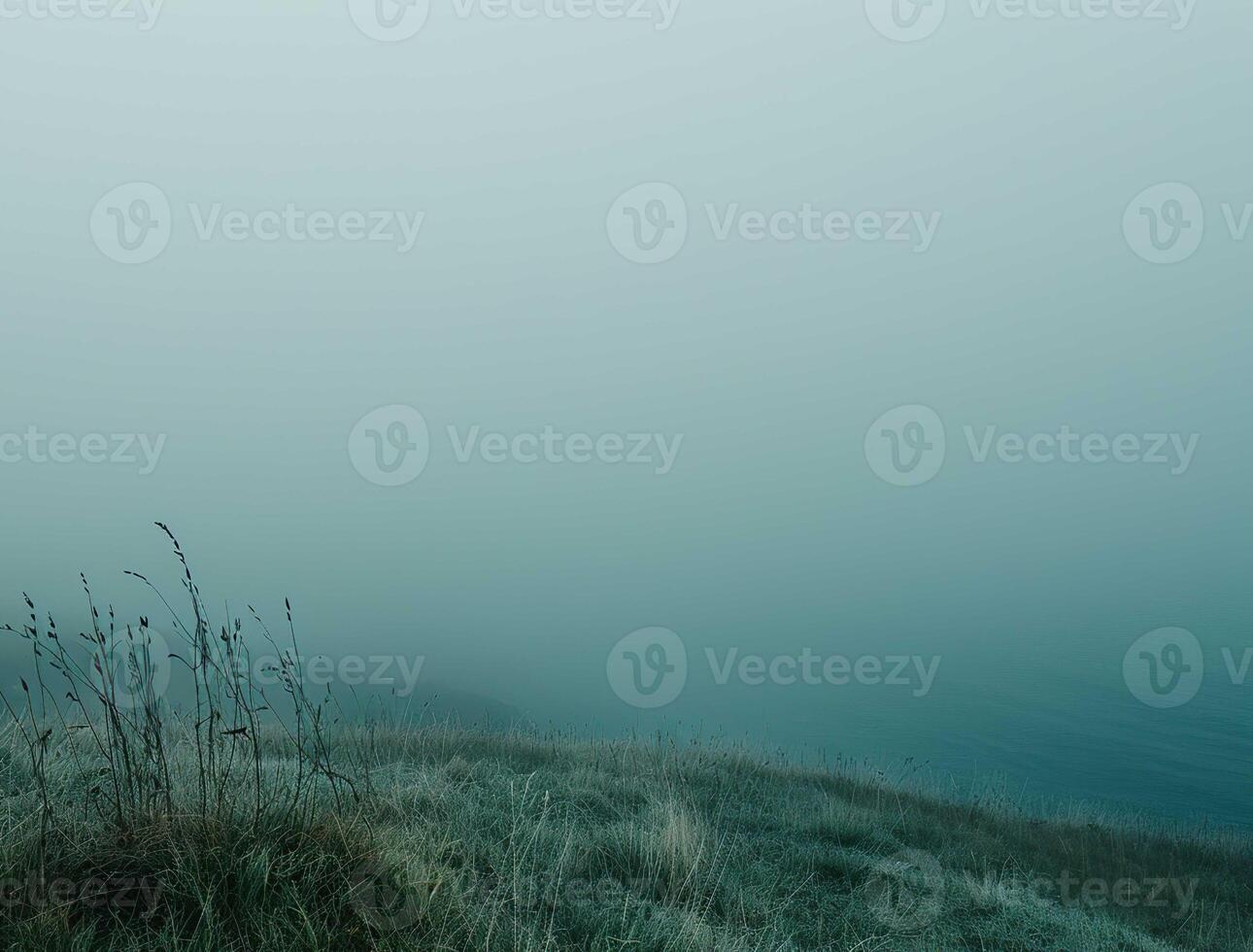 Gloomy Landscape with mist photo