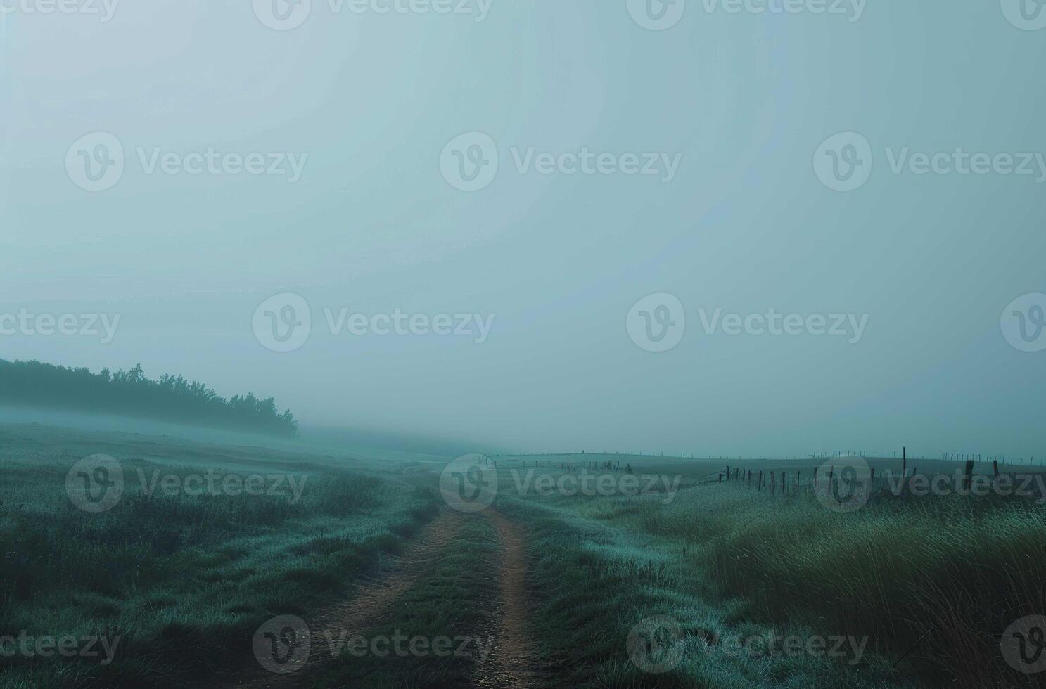 Gloomy Landscape with mist photo