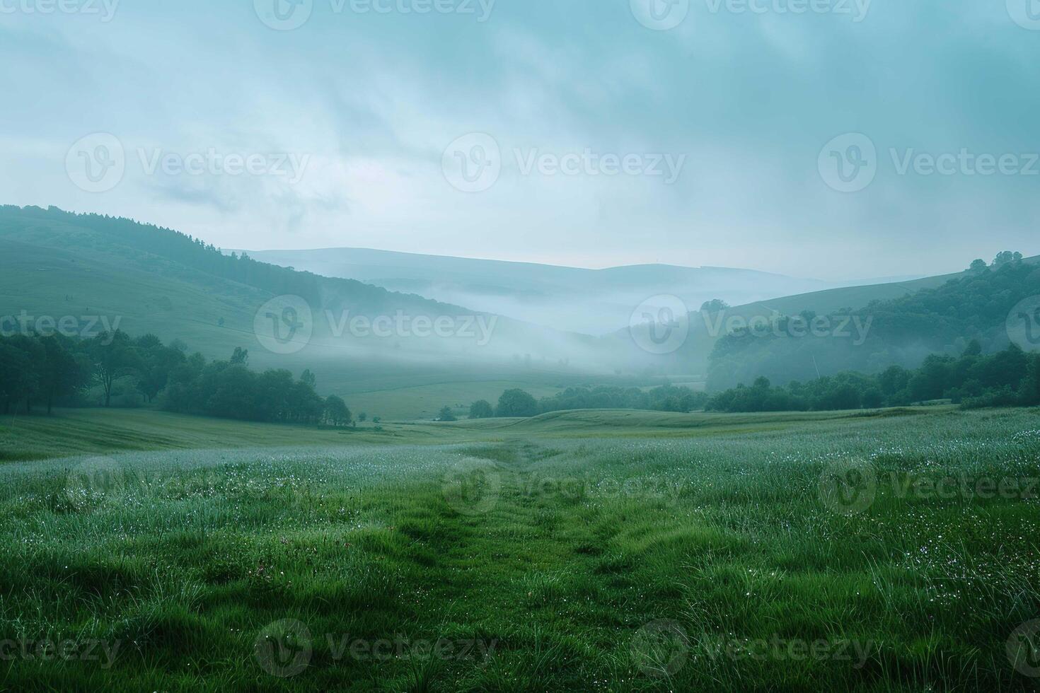 Gloomy Landscape with mist photo