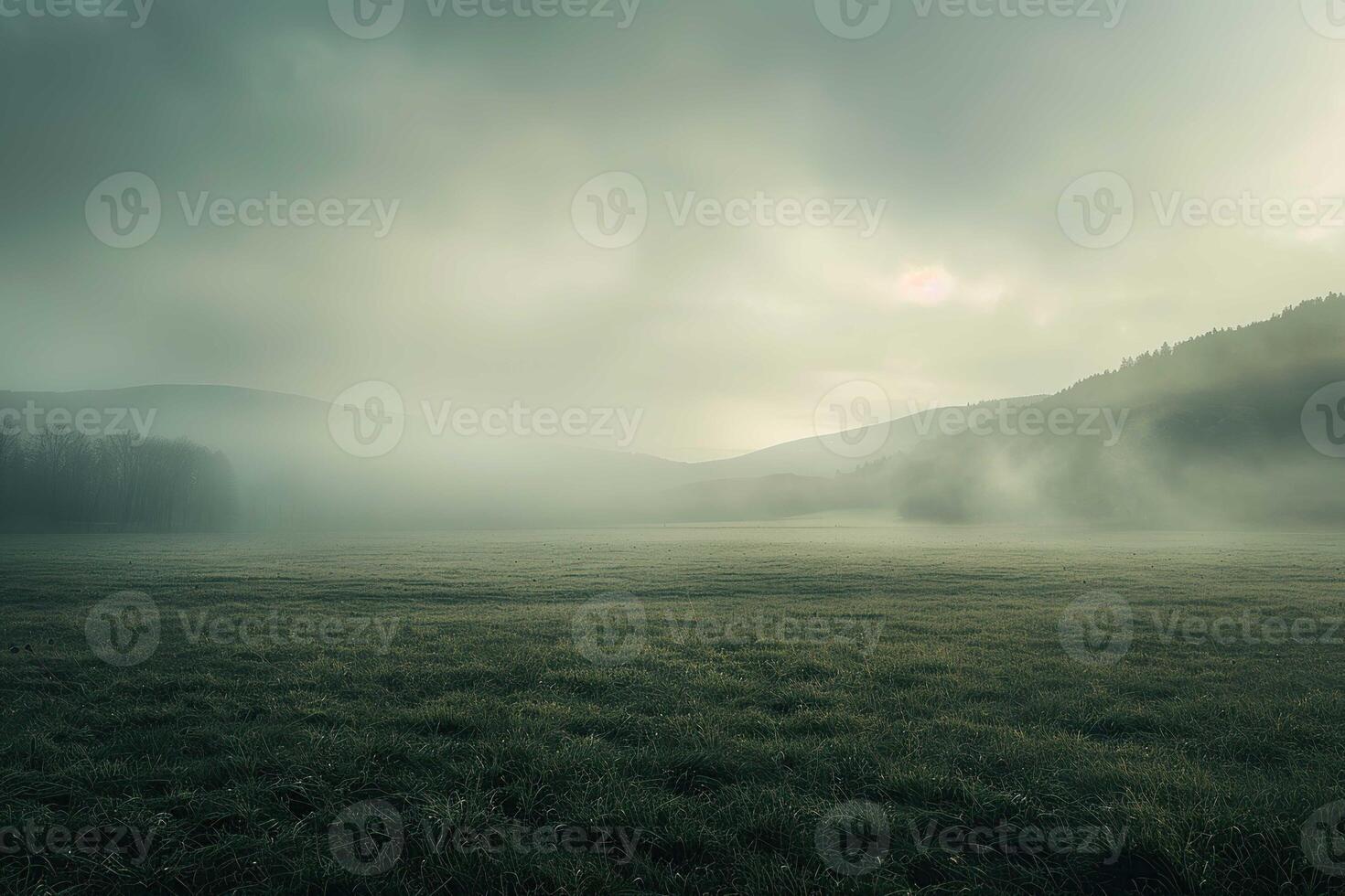 Gloomy Landscape with mist photo