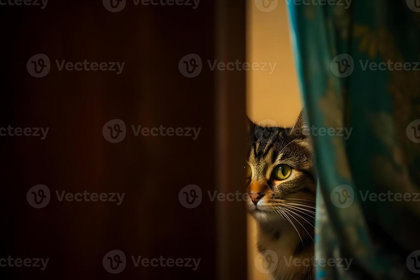 Curious cat peeking around a corner. Neural network photo