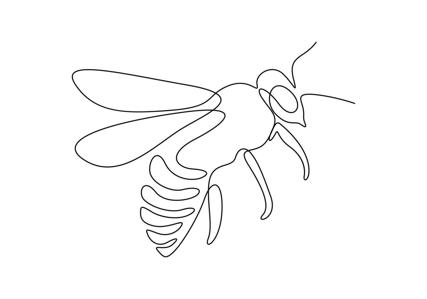 Honey bee in one continuous line drawing digital illustration vector