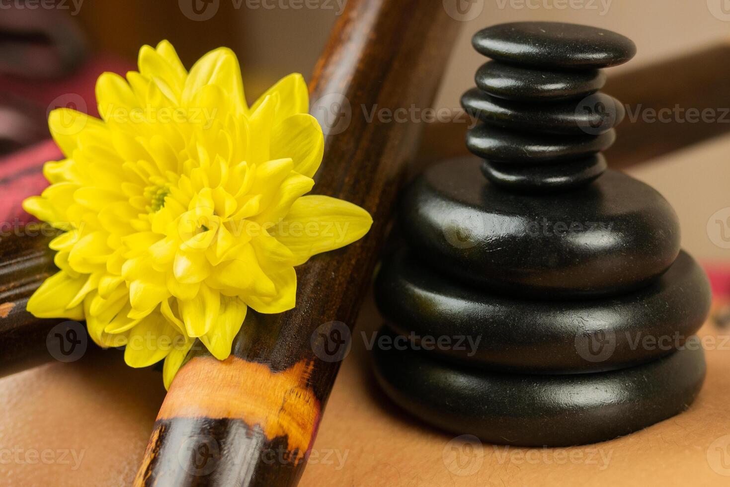 Composition of black hot basalt stones, bamboo sticks and yellow flower on female naked back. Creole massage. The therapist relieves stress from the client's sore spots. Spa treatments. Close-up. photo