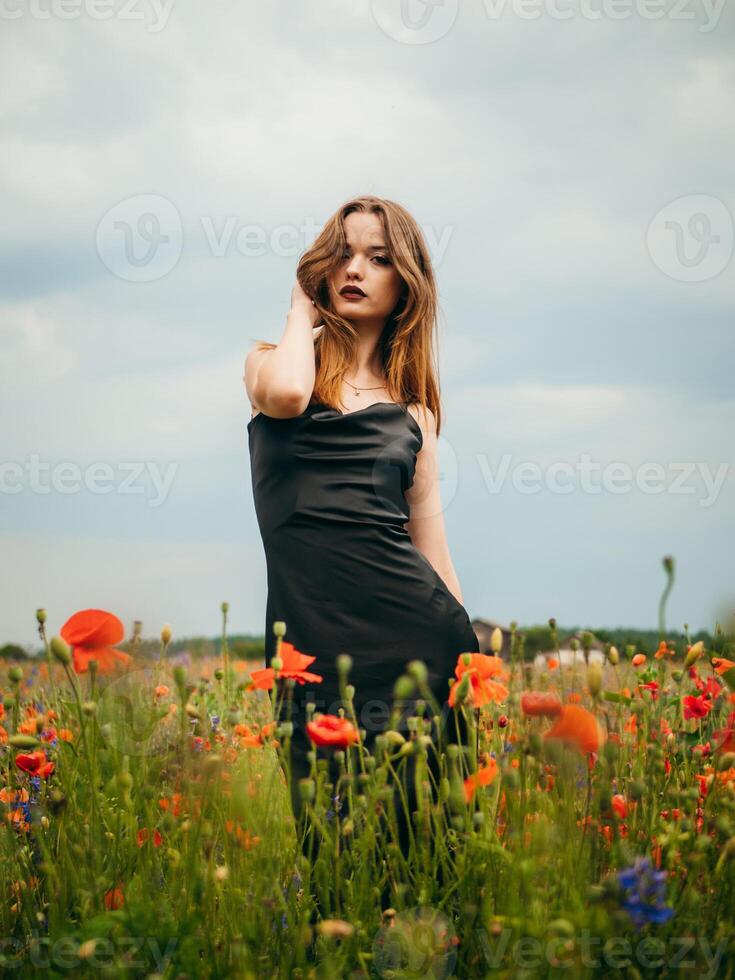 Beautiful young girl in a black evening dress posing against a poppy field on a cloudy summer day. Portrait of a female model outdoors. Rainy weather. Gray clouds. photo