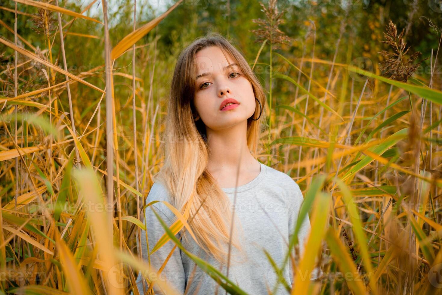 Beautiful young girl wearing blank gray t-shirt and black jeans posing against high green and yellow grass in early warm autumn. Outdoor portrait of beautiful female model photo