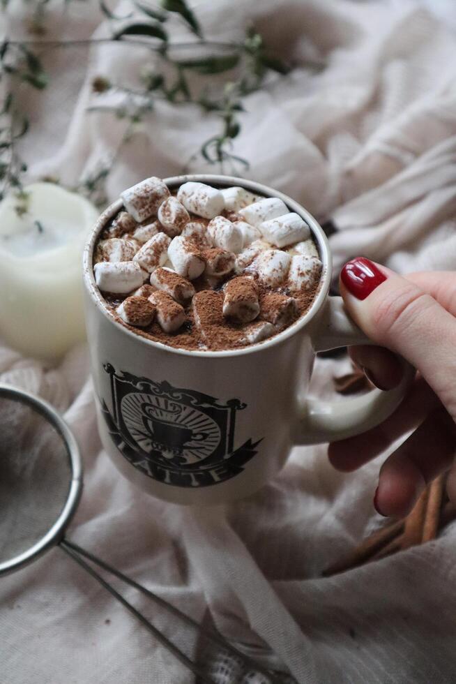 Hot cocoa with marshmallow in a white ceramic mug surrounded by drink preparation ingredients. Cosy winter composition photo