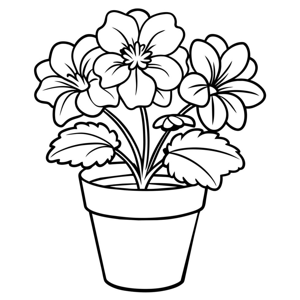 Geranium flower plant outline illustration coloring book page design, Geranium flower plant black and white line art drawing coloring book pages for children and adults vector