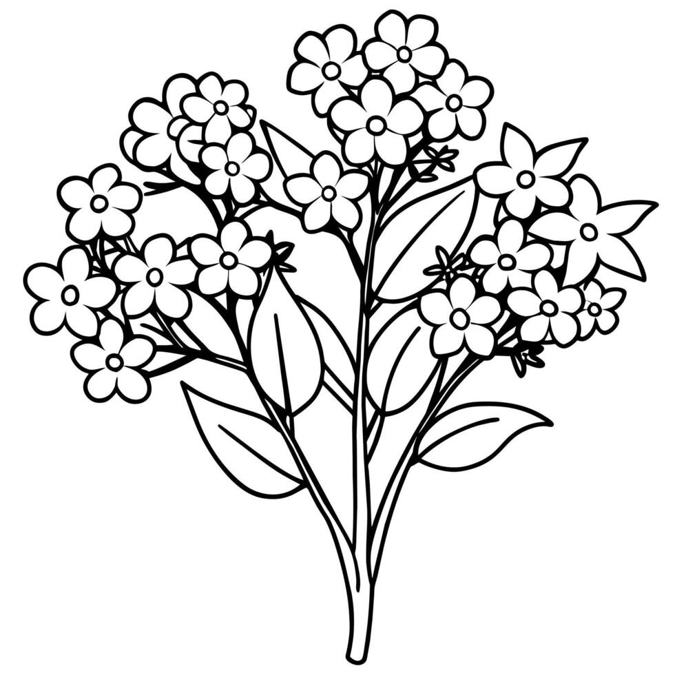 Forget Me Not Flower Bouquet outline illustration coloring book page design, Forget Me Not Flower Bouquet black and white line art drawing coloring book pages for children and adults vector