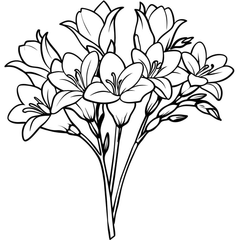 Freesia Flower Bouquet outline illustration coloring book page design, Freesia Flower Bouquet black and white line art drawing coloring book pages for children and adults vector