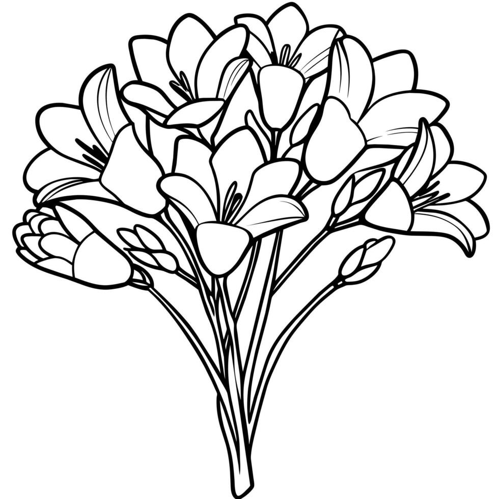 Freesia Flower Bouquet outline illustration coloring book page design, Freesia Flower Bouquet black and white line art drawing coloring book pages for children and adults vector