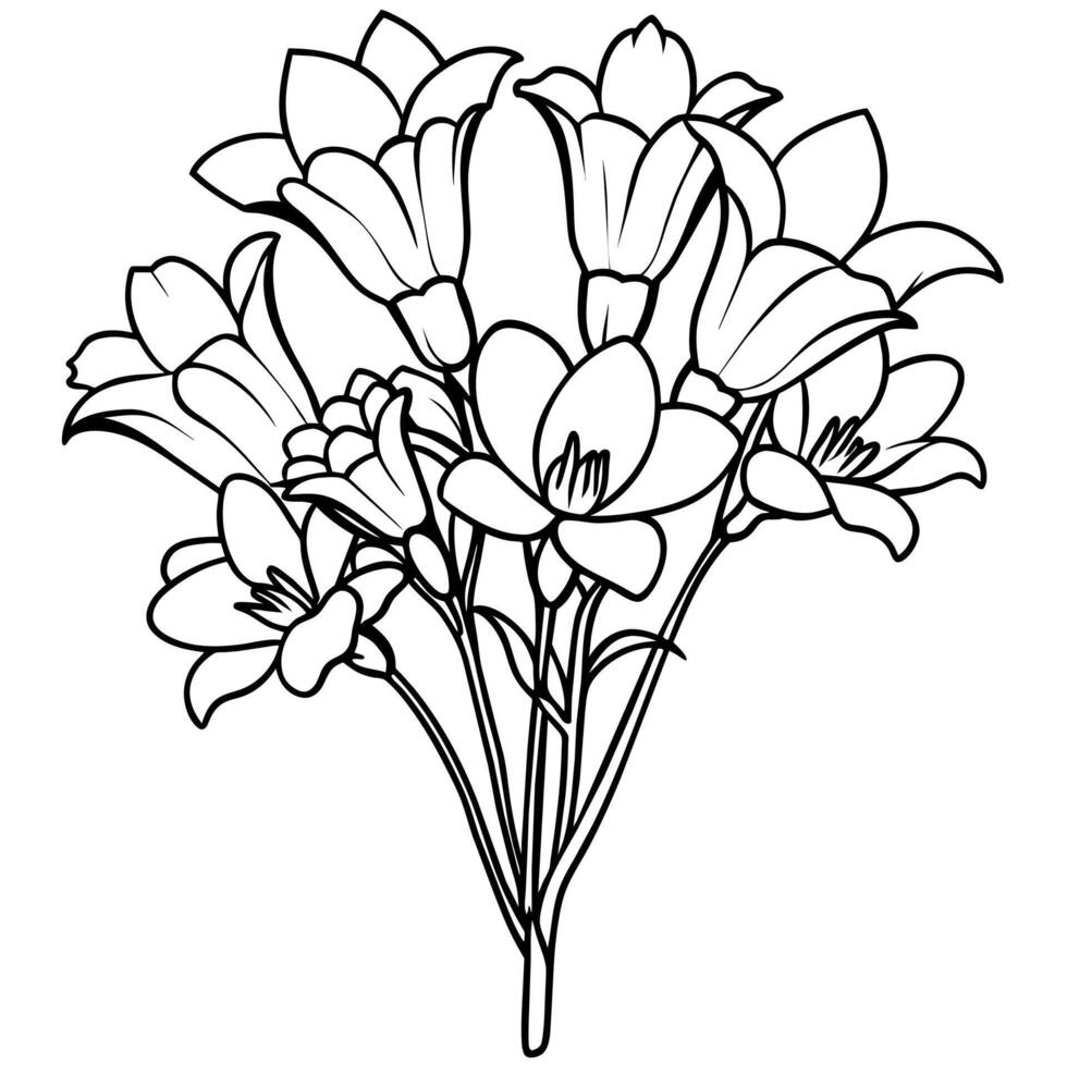 Freesia Flower Bouquet outline illustration coloring book page design, Freesia Flower Bouquet black and white line art drawing coloring book pages for children and adults vector