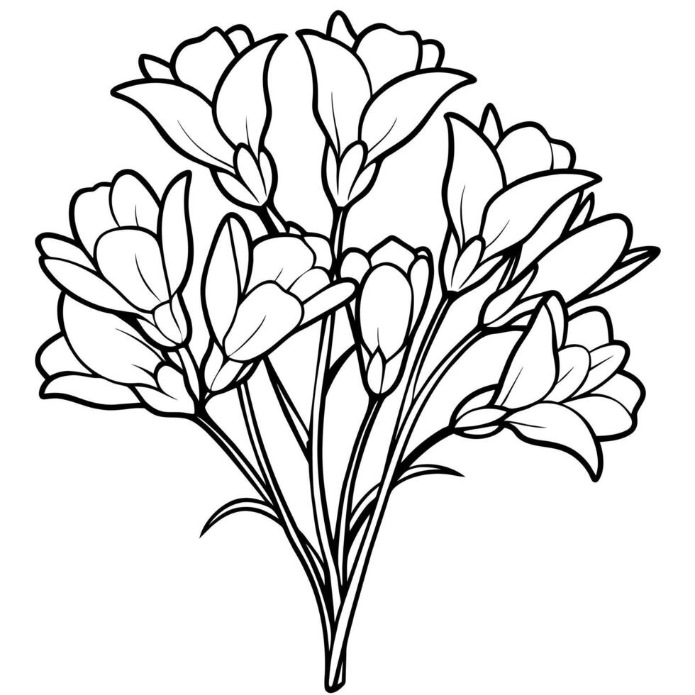 Freesia Flower Bouquet outline illustration coloring book page design, Freesia Flower Bouquet black and white line art drawing coloring book pages for children and adults vector