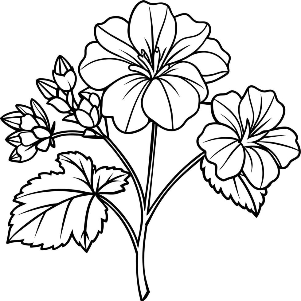 Geranium flower plant outline illustration coloring book page design, Geranium flower plant black and white line art drawing coloring book pages for children and adults vector