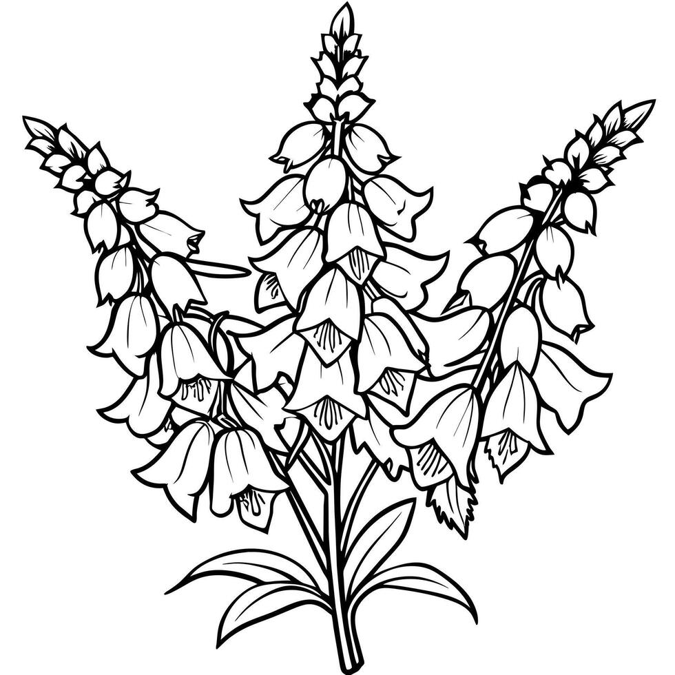 Foxglove Flower Bouquet outline illustration coloring book page design, Foxglove Flower Bouquet black and white line art drawing coloring book pages for children and adults vector