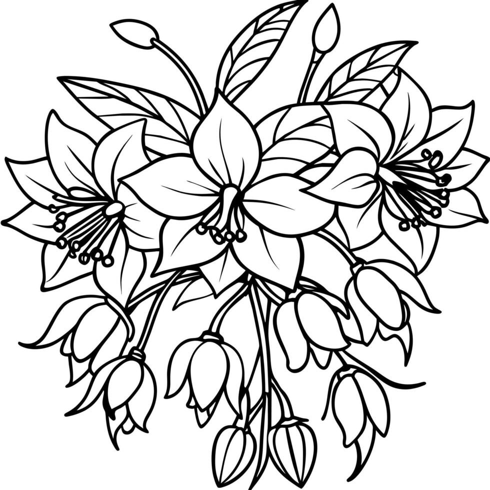 Fuchsia Flower Bouquet outline illustration coloring book page design, Fuchsia Flower Bouquet black and white line art drawing coloring book pages for children and adults vector