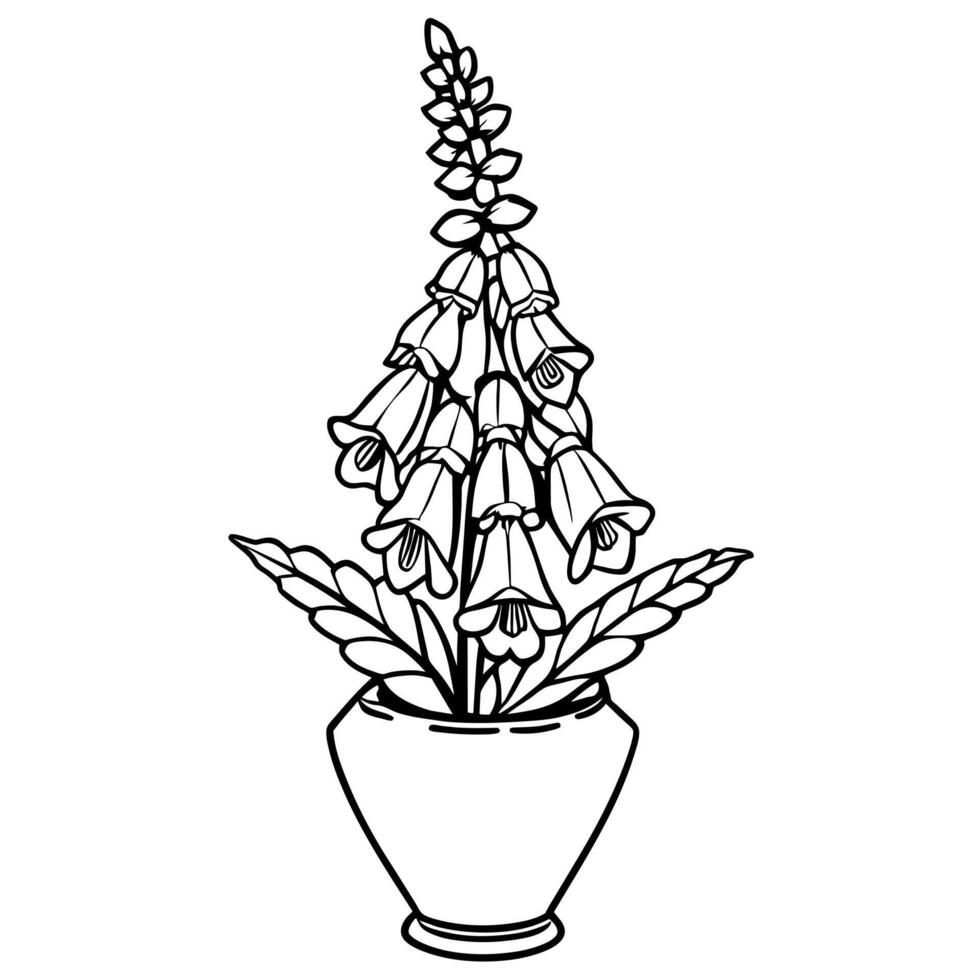 Foxglove flower on the vase outline illustration coloring book page design, Foxglove flower on the vase black and white line art drawing coloring book pages for children and adults vector