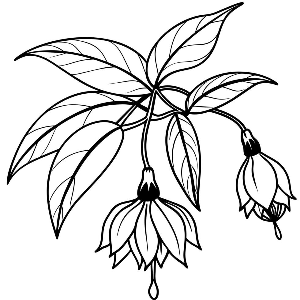 fucsia flor planta contorno ilustración colorante libro página diseño, fucsia flor planta negro y blanco línea Arte dibujo colorante libro paginas para niños y adultos vector
