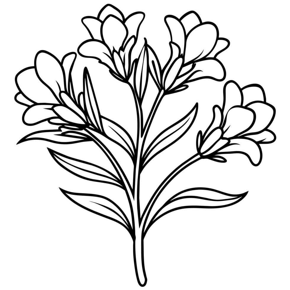 Freesia flower plant outline illustration coloring book page design, Freesia flower plant black and white line art drawing coloring book pages for children and adults vector