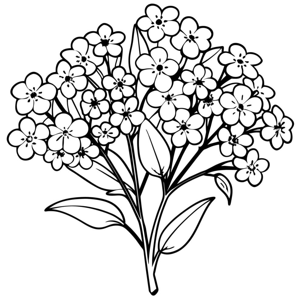 Forget Me Not Flower Bouquet outline illustration coloring book page design, Forget Me Not Flower Bouquet black and white line art drawing coloring book pages for children and adults vector