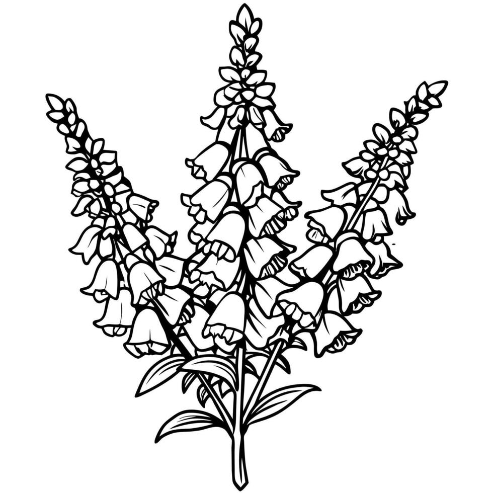 Foxglove Flower Bouquet outline illustration coloring book page design, Foxglove Flower Bouquet black and white line art drawing coloring book pages for children and adults vector