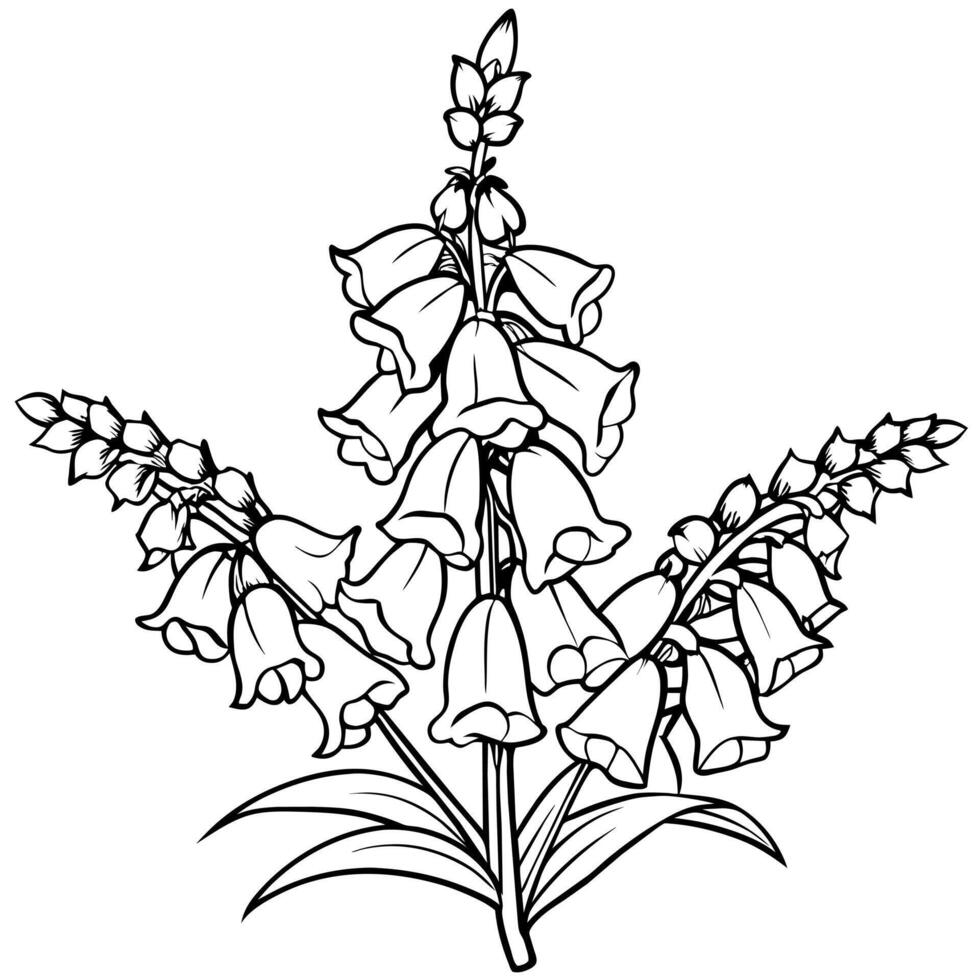 Foxglove Flower Bouquet outline illustration coloring book page design, Foxglove Flower Bouquet black and white line art drawing coloring book pages for children and adults vector