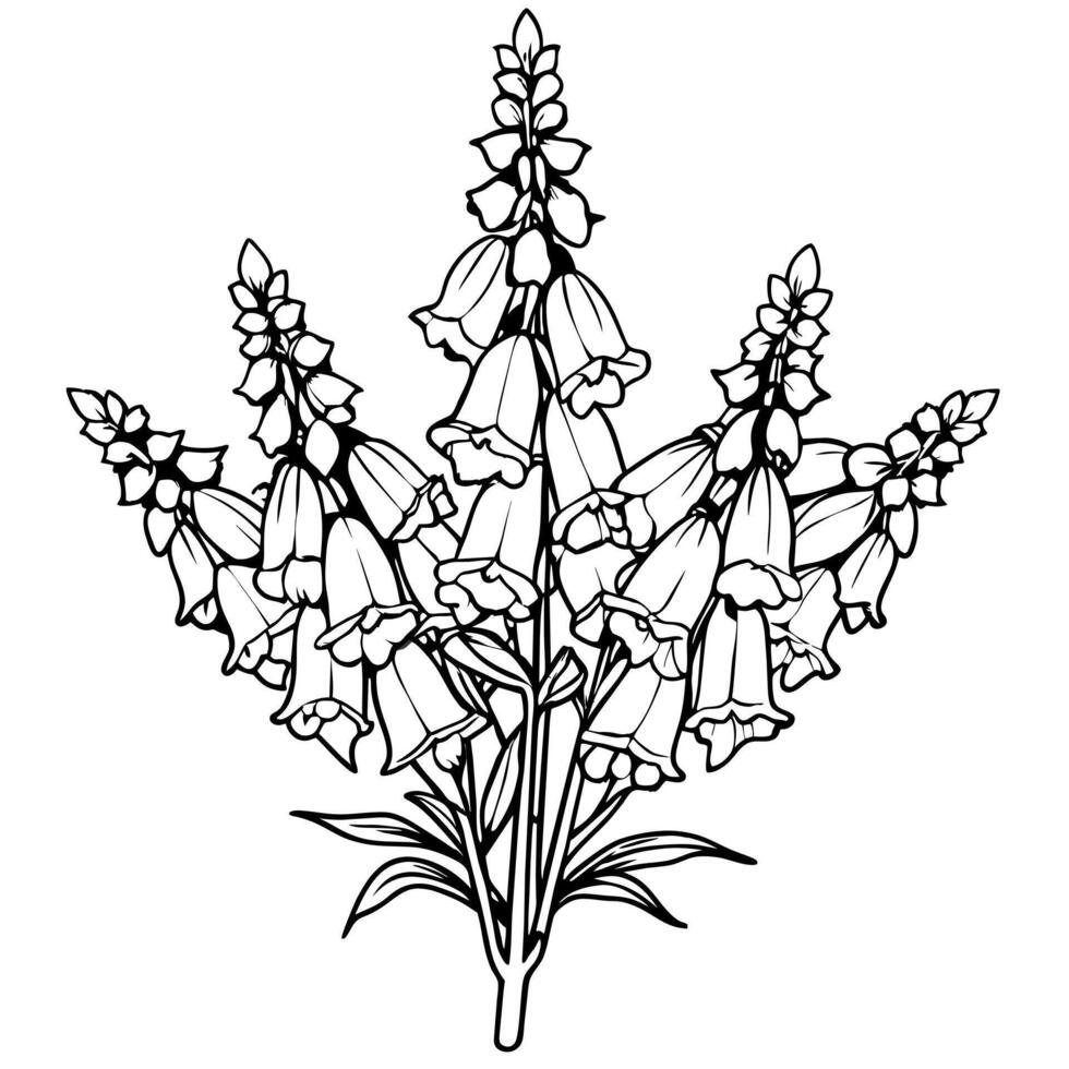 Foxglove Flower Bouquet outline illustration coloring book page design, Foxglove Flower Bouquet black and white line art drawing coloring book pages for children and adults vector