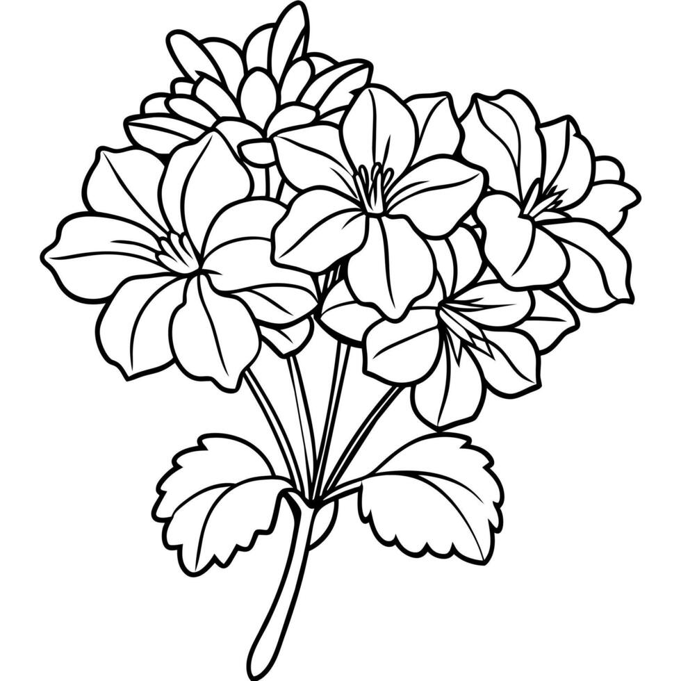 Geranium Flower Bouquet outline illustration coloring book page design, Geranium Flower Bouquet black and white line art drawing coloring book pages for children and adults vector