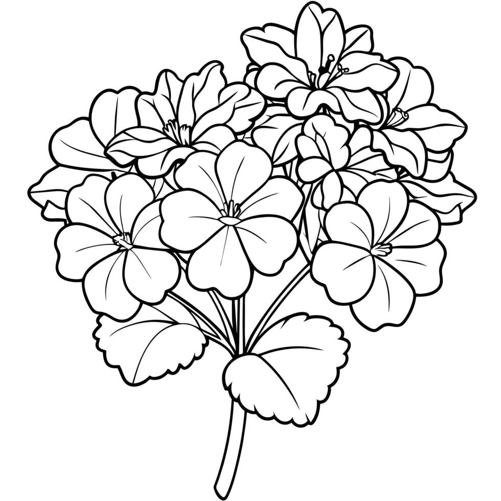 Geranium Flower Bouquet outline illustration coloring book page design, Geranium Flower Bouquet black and white line art drawing coloring book pages for children and adults vector