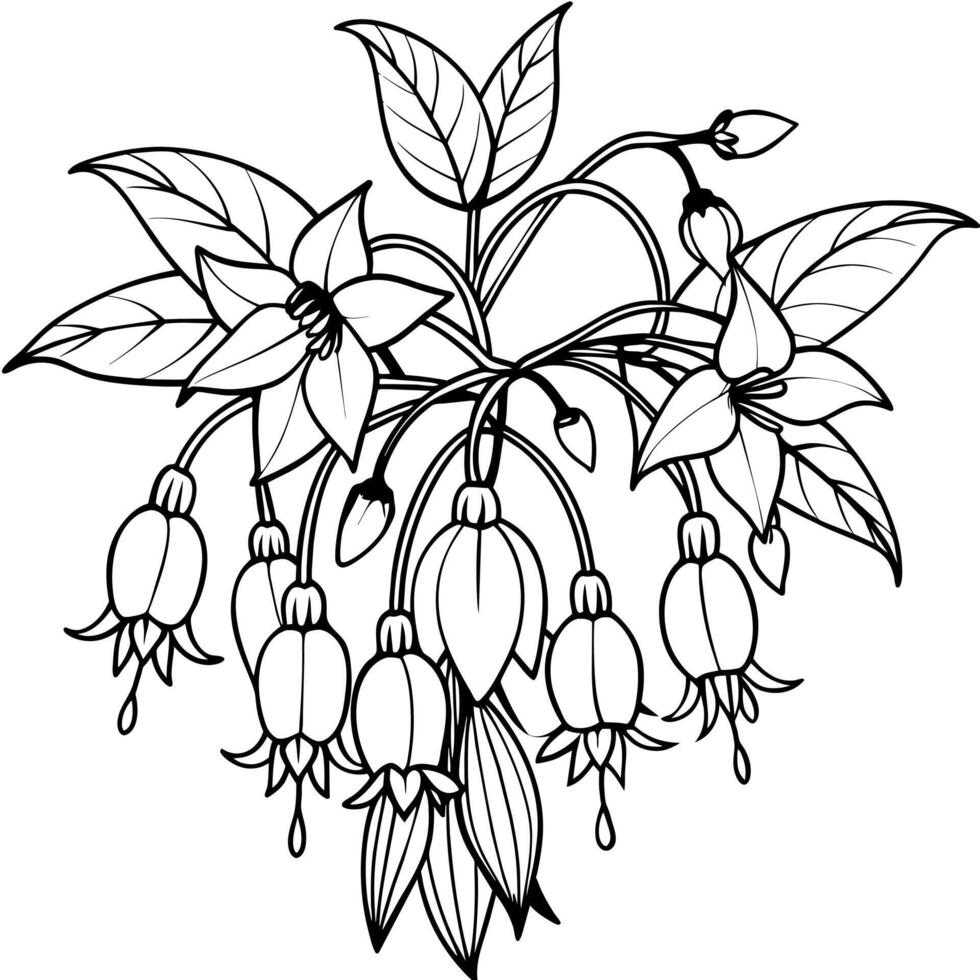 Fuchsia Flower Bouquet outline illustration coloring book page design, Fuchsia Flower Bouquet black and white line art drawing coloring book pages for children and adults vector