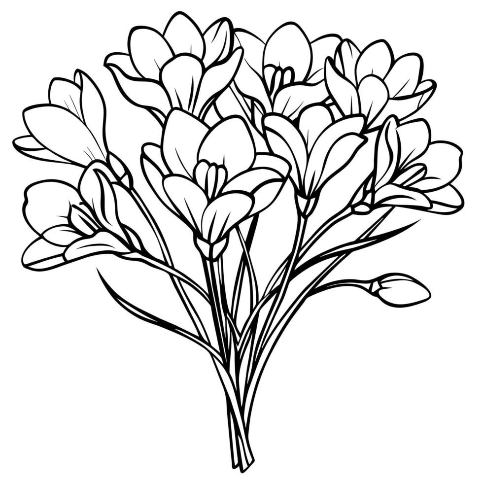 Freesia Flower Bouquet outline illustration coloring book page design, Freesia Flower Bouquet black and white line art drawing coloring book pages for children and adults vector