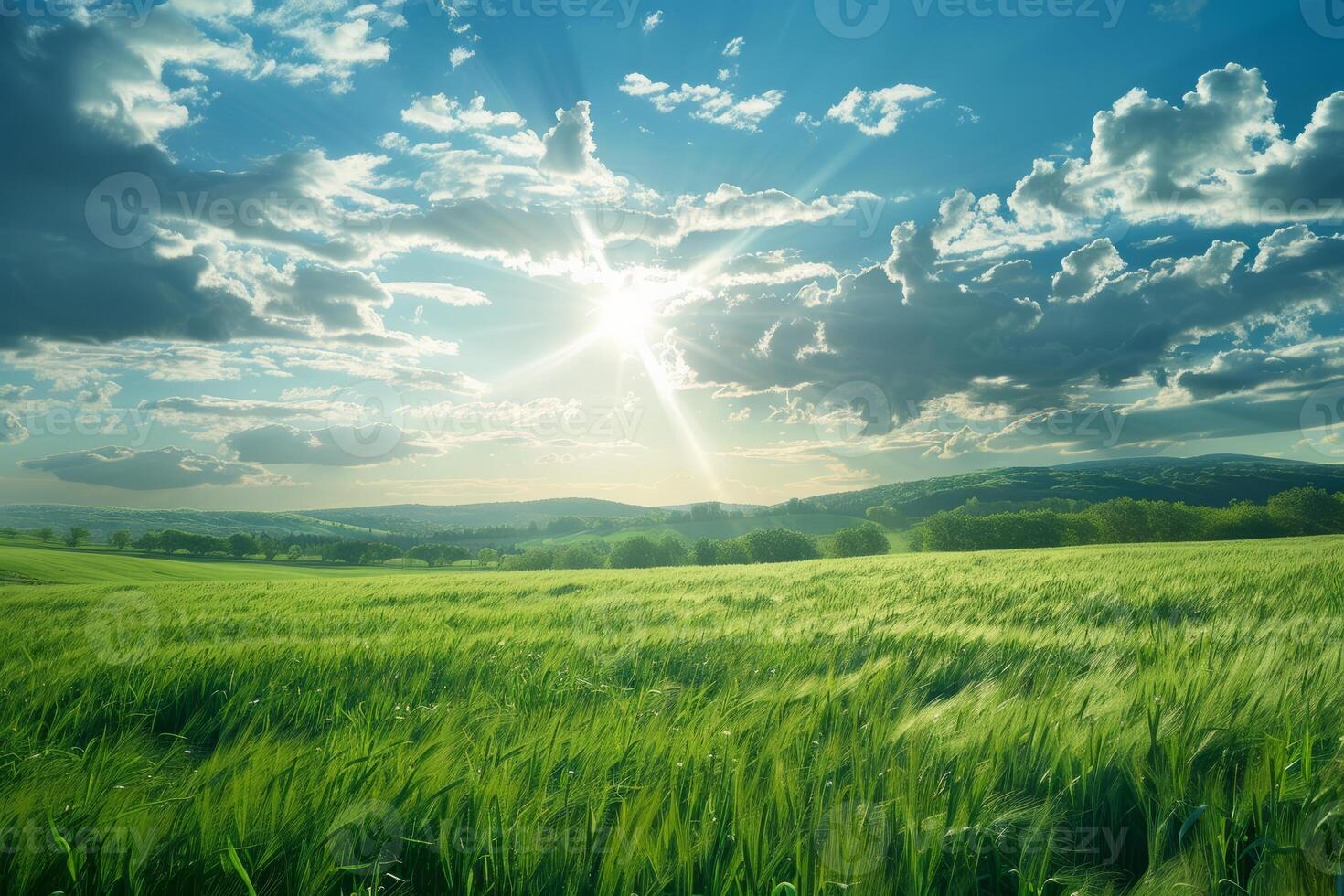 Clear sky, sunny weather, green grass, beautiful landscape photo