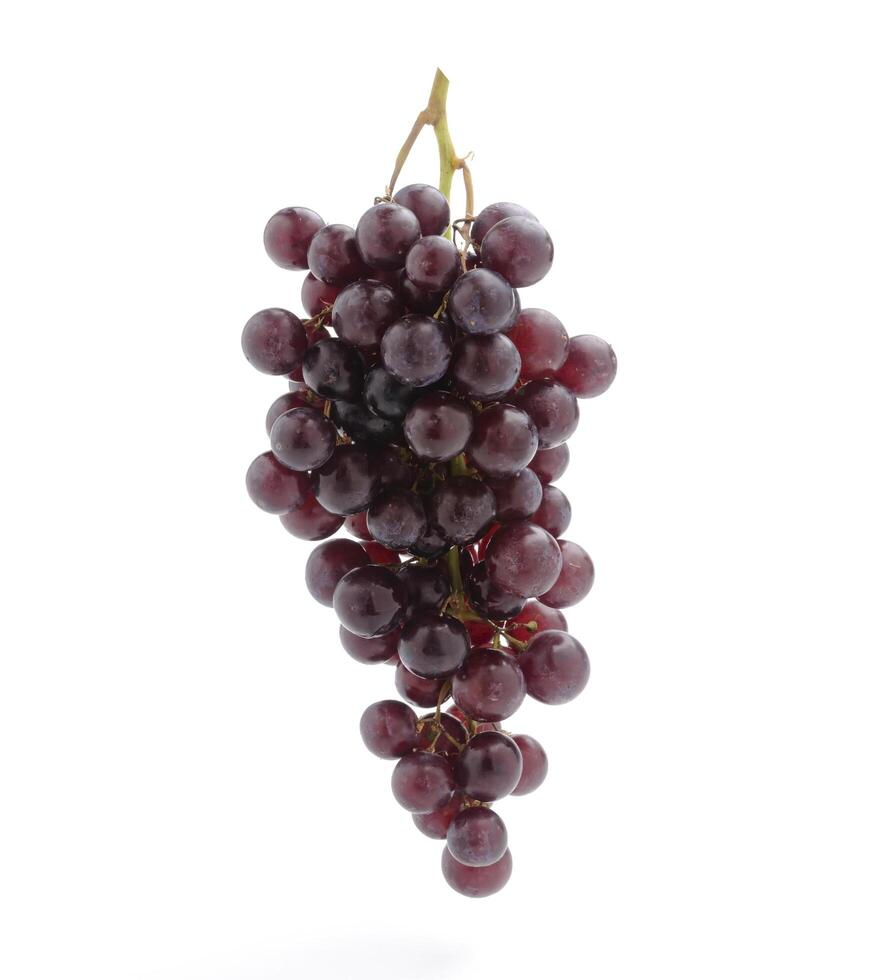 fresh red grapes isolated on a white background photo