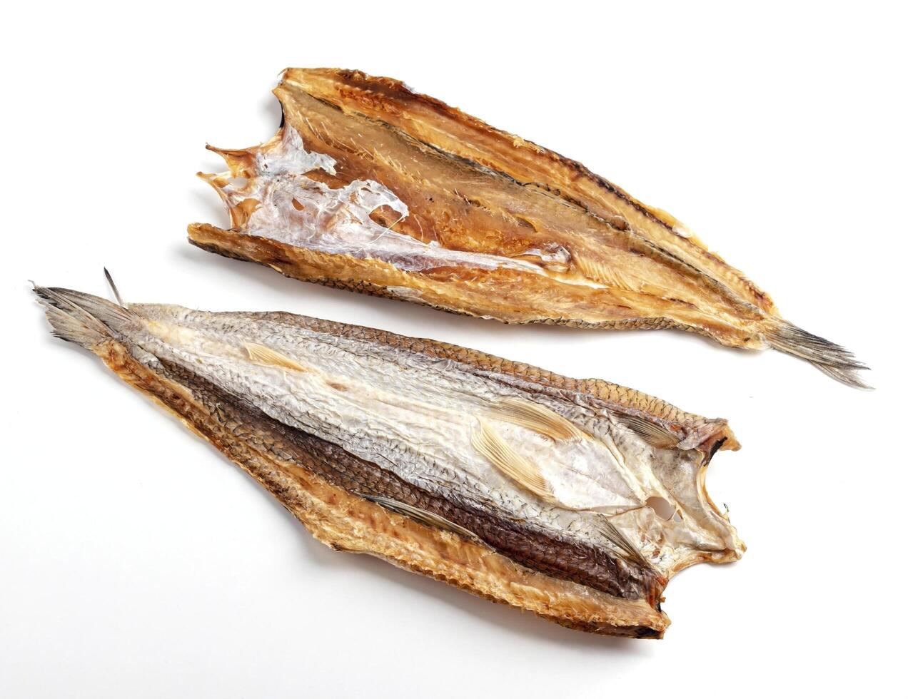 Dried salty fish isolated on white background photo