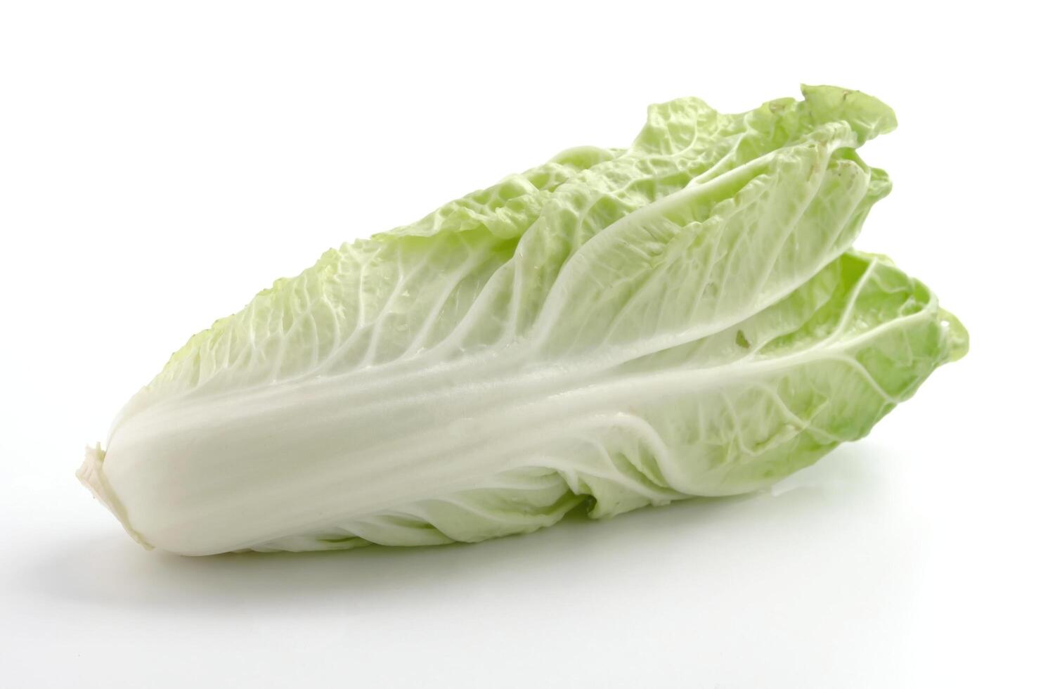 Chinese cabbage or Napa cabbage isolated on white background photo