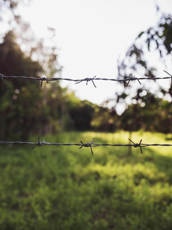 Close-up shot of barbed wire fence with green blurred background. protection concept photo