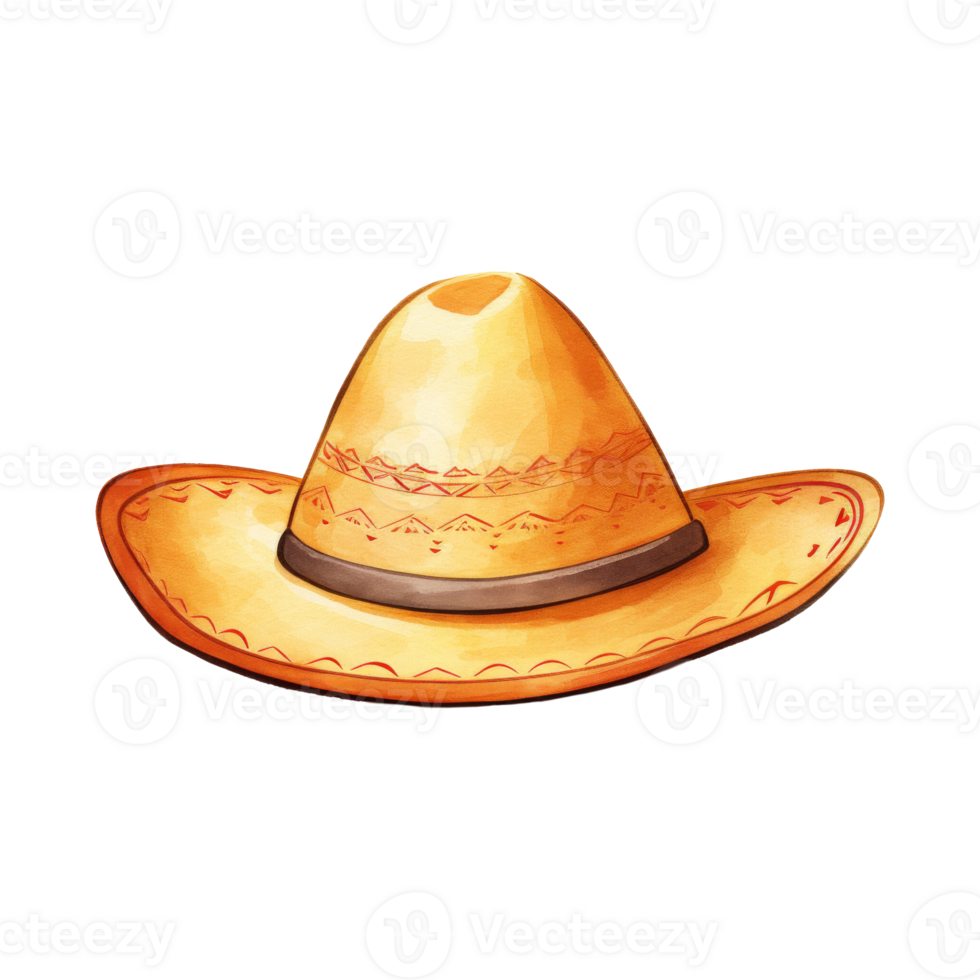 handgemacht Stroh Sombrero mit breit Rand png