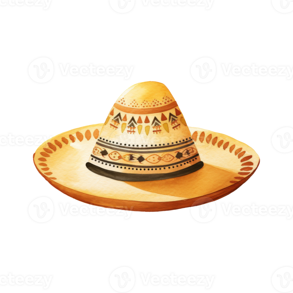 handgemacht Stroh Sombrero mit breit Rand png