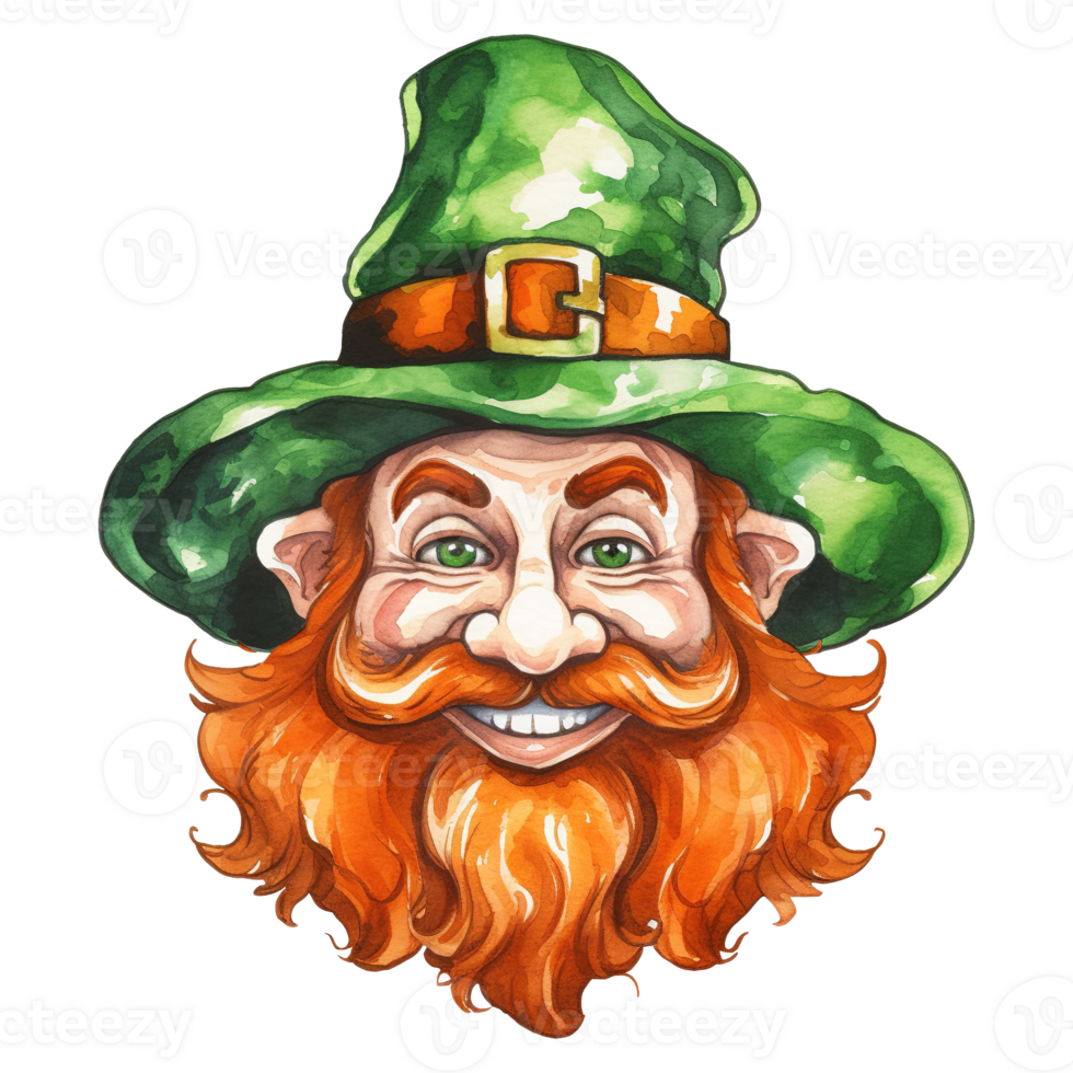 Whimsical Leprechaun Cartoons 44176061 PNG